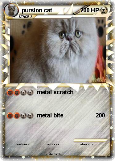 Pokemon pursion cat