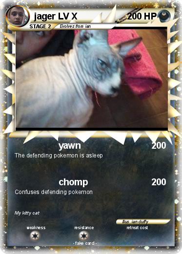 Pokemon jager LV X