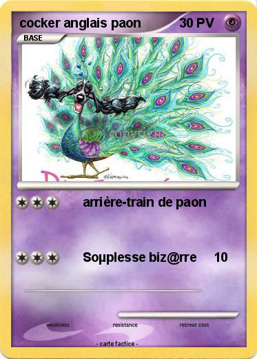 Pokemon cocker anglais paon