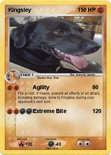 Pokemon Kingsley