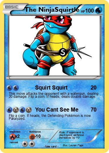Pokemon The NinjaSquirtle
