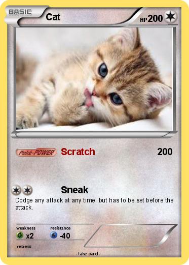 Pokemon Cat