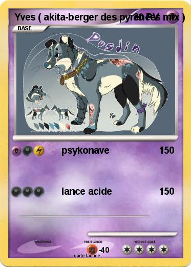 Pokemon Yves ( akita-berger des pyrénées mix )