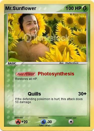 Pokemon Mr.Sunflower