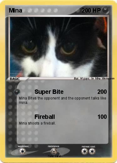 Pokemon Mina
