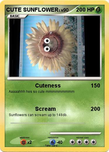 Pokemon CUTE SUNFLOWER