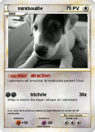 Pokemon minibouille