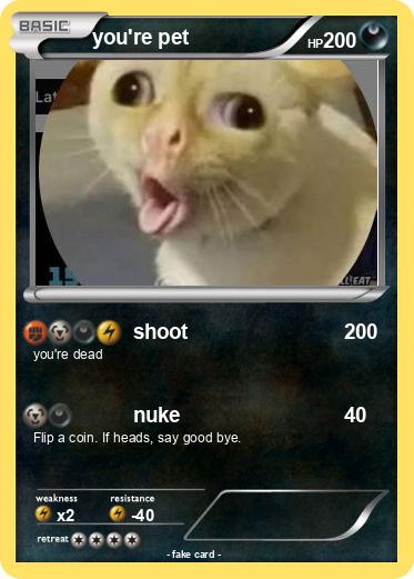 Pokemon you're pet