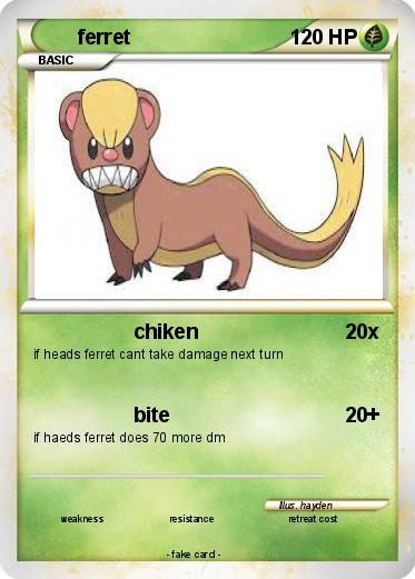 Pokemon ferret