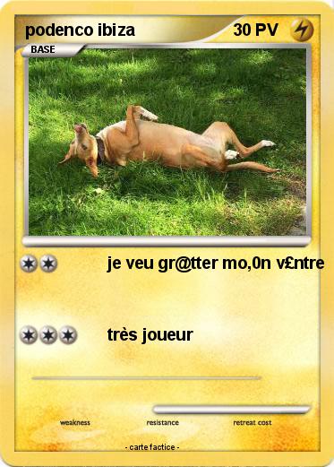 Pokemon podenco ibiza