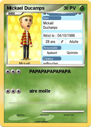 Pokemon Mickael Ducamps