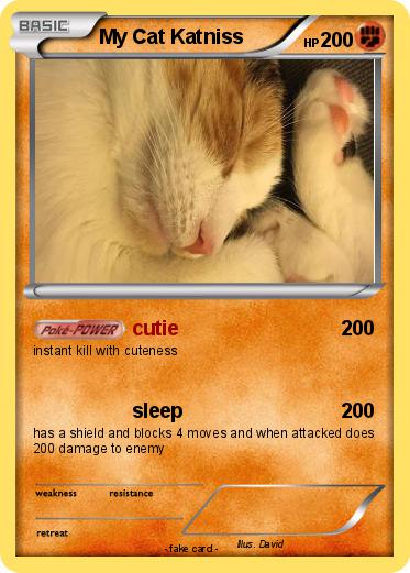 Pokemon My Cat Katniss