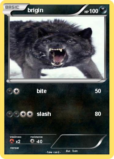 Pokemon brigin