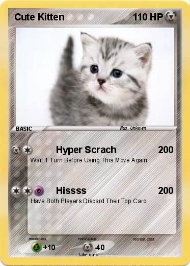 Pokemon Cute Kitten