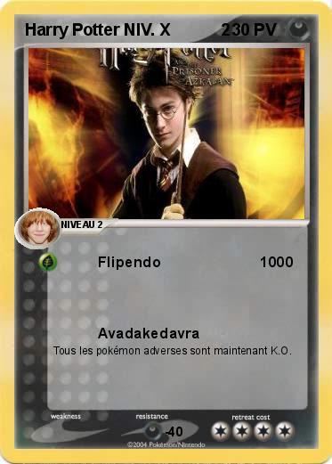 Pokemon Harry Potter NIV. X           2