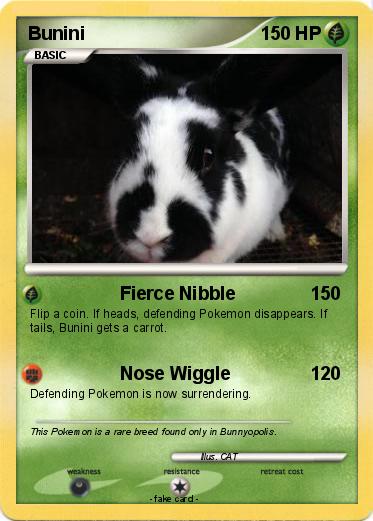 Pokemon Bunini