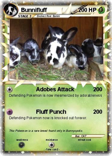 Pokemon Bunnifluff