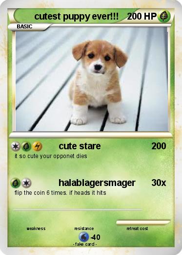 Pokemon cutest puppy ever!!!