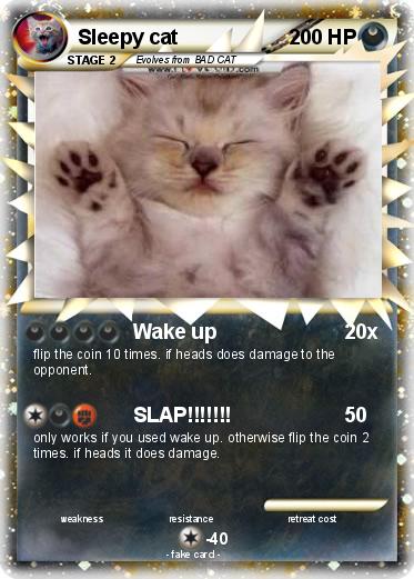 Pokemon Sleepy cat