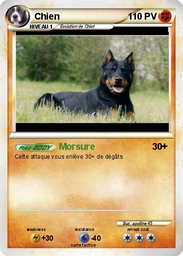 Pokemon Chien
