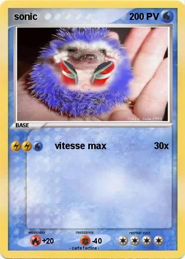 Pokemon sonic