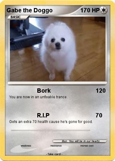 Pokemon Gabe the Doggo