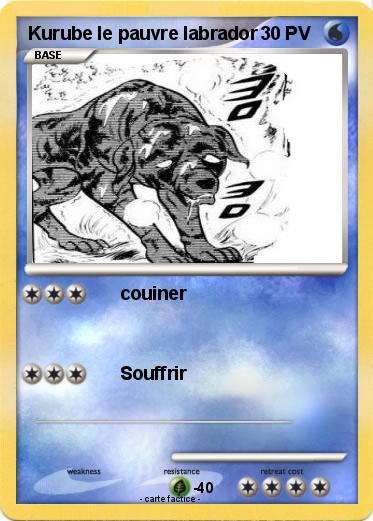 Pokemon Kurube le pauvre labrador