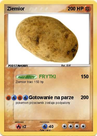 Pokemon Ziemior