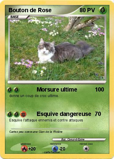 Pokemon Bouton de Rose