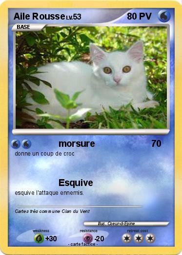 Pokemon Aile Rousse