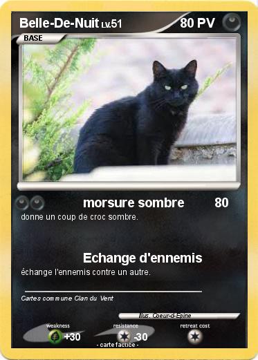 Pokemon Belle-De-Nuit