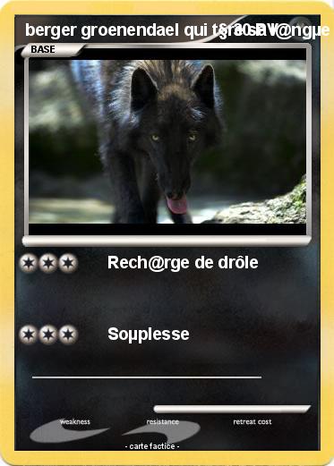 Pokemon berger groenendael qui t§re sa l@ngµe