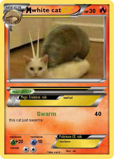 Pokemon white cat