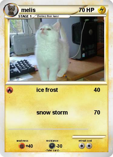 Pokemon melis