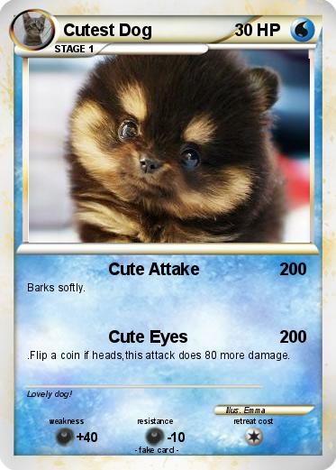 Pokemon Cutest Dog