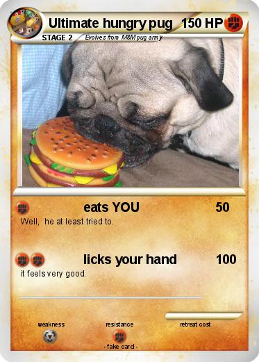 Pokemon Ultimate hungry pug