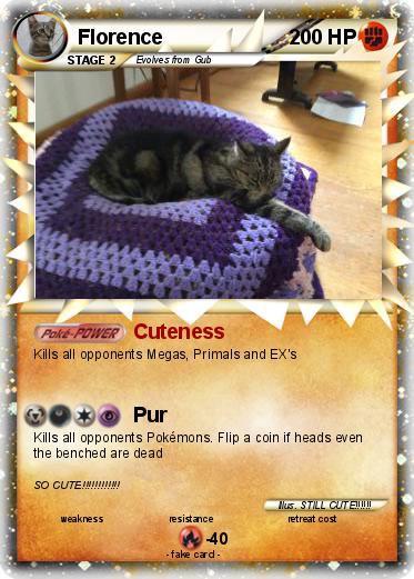 Pokemon Florence