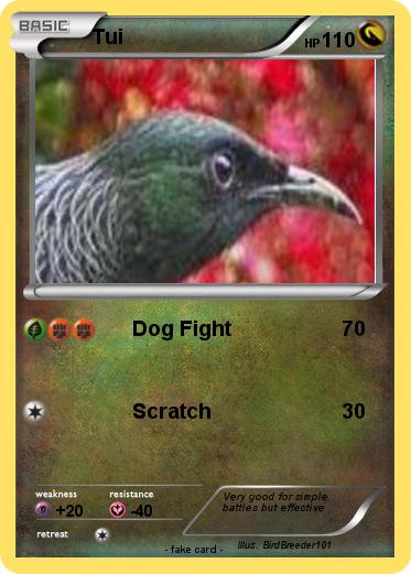 Pokemon Tui
