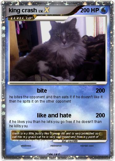 Pokemon king crash