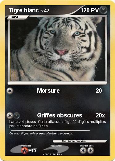 Pokemon Tigre blanc