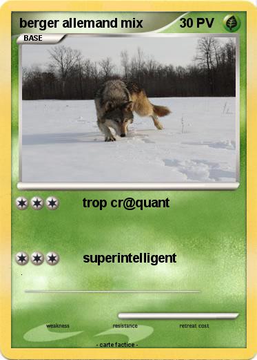 Pokemon berger allemand mix