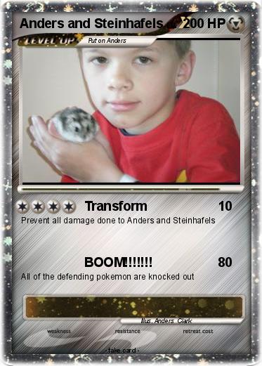 Pokemon Anders and Steinhafels