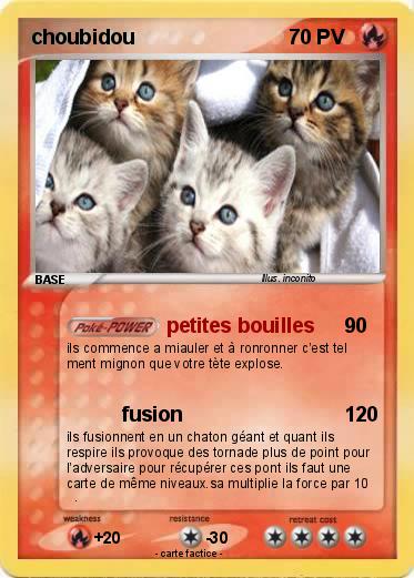 Pokemon choubidou