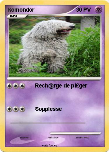 Pokemon komondor