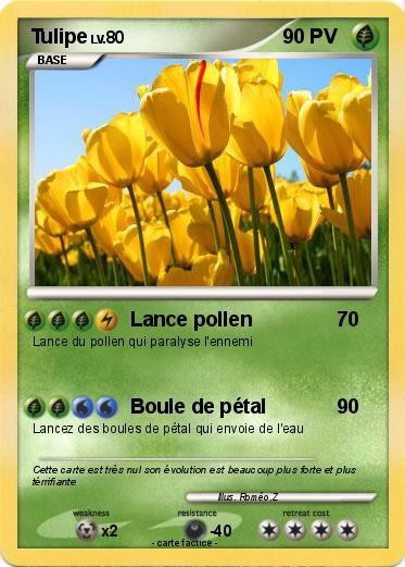 Pokemon Tulipe