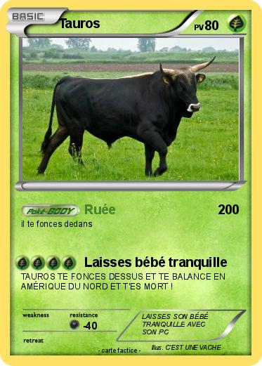 Pokemon Tauros