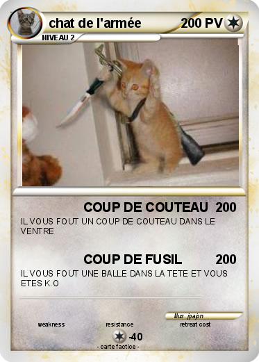 Pokemon chat de l'armée