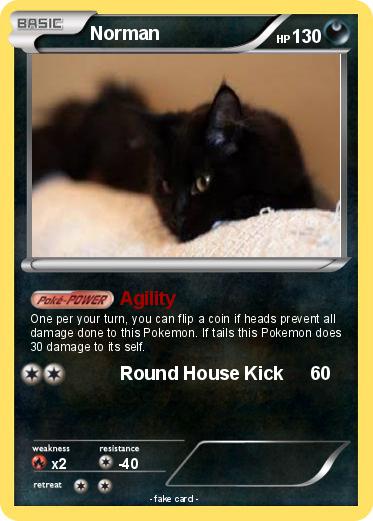 Pokemon Norman
