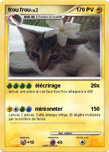 Pokemon frou frou
