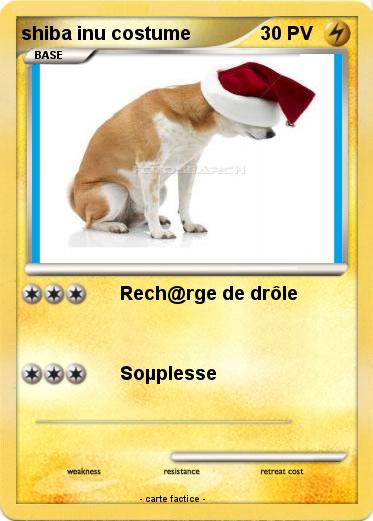 Pokemon shiba inu costume